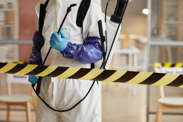 Professional Hoarding Cleanup technician working in Van Buren, AR